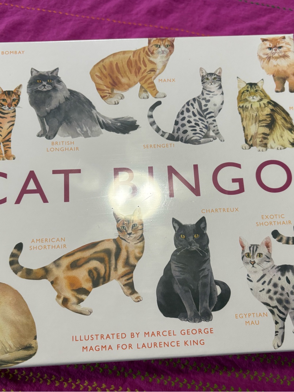 CAT BINGO GAME